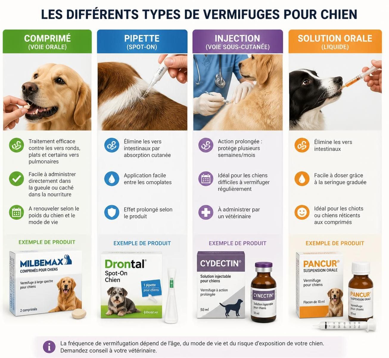 découvrez à quelle fréquence vermifuger votre chien pour prévenir les parasites et assurer sa santé optimale tout au long de l'année.
